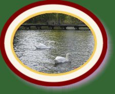 DSC02727 * 2048 x 1536 * (1.52MB)