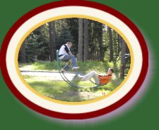 DSC02729 * 2048 x 1536 * (1.35MB)