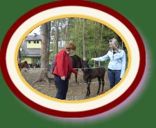 DSC02733 * 2048 x 1536 * (1.56MB)