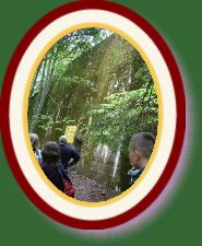 DSC02763 * 1536 x 2048 * (887KB)