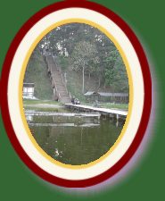 DSC02802 * 1536 x 2048 * (463KB)