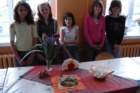 dsc05642_small.jpg