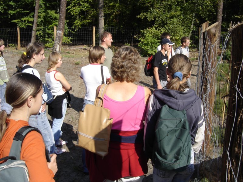 marcule_2006_19.jpg