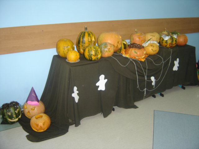 dsc06606.jpg