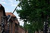 DSC02567.JPG