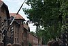 DSC02568.JPG