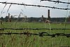 DSC02806.JPG