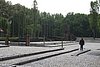 DSC02820.JPG