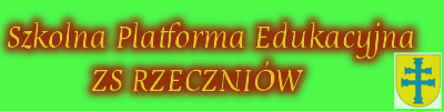Custom logo here